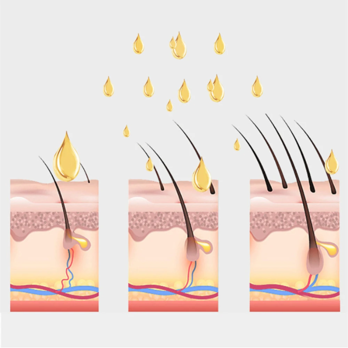 Shampoo y Acondicionador Can'nabis – Crecimiento y prevención de la calvicie prematura